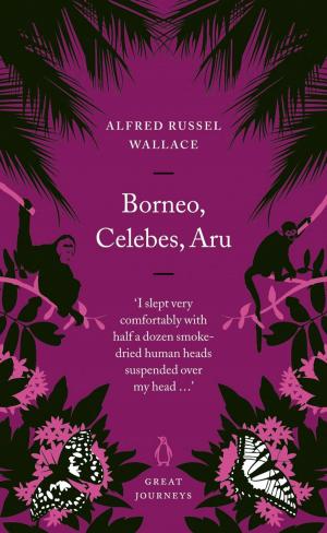 Cover of the book Borneo, Celebes, Aru by Andrew Cope