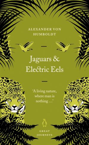 Cover of the book Jaguars and Electric Eels by Laurie Bauer