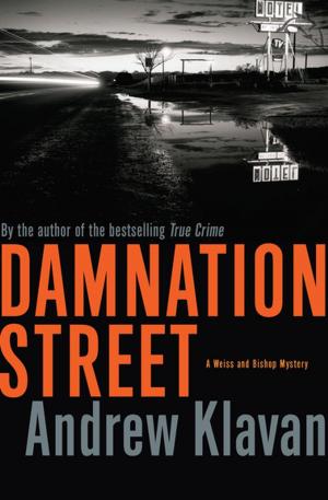 Cover of the book Damnation Street by Alice Feiring