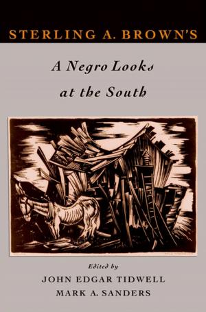 Cover of the book Sterling A. Brown's A Negro Looks at the South by J. Dudley Andrew