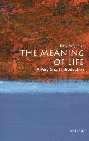 Cover of the book The Meaning of Life by Jonathan Bonnitcha, Lauge N. Skovgaard Poulsen, Michael Waibel
