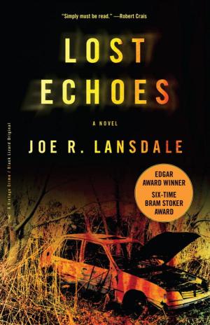 Book cover of Lost Echoes