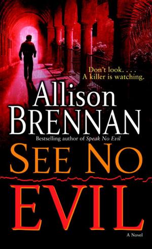 Cover of the book See No Evil by Sawyer Bennett