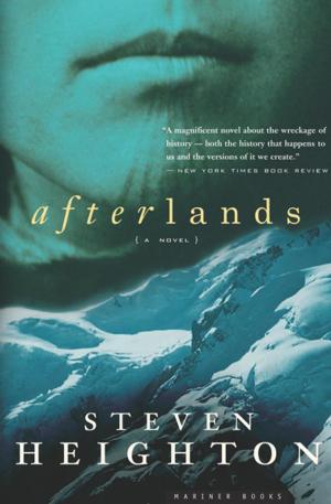 Cover of the book Afterlands by Bill Turque