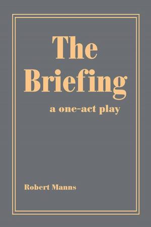 Cover of the book The Briefing by Paul V. Cozens