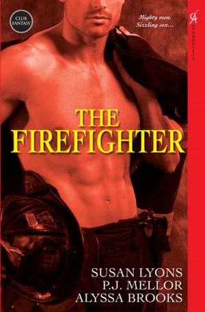 Cover of the book The Firefighter by safetythirdenterprises