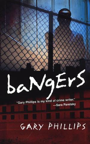 Book cover of Bangers