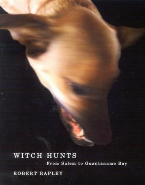 Cover of the book Witch Hunts by Raymond Breton