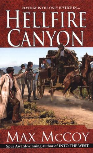 Cover of the book Hellfire Canyon by Mary Burton