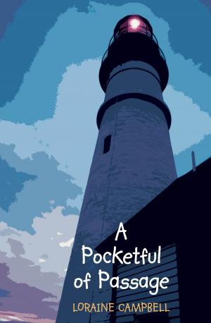 Cover of the book A Pocketful of Passage by Dan Austin
