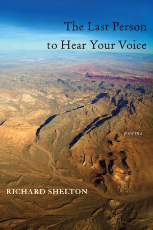 Cover of the book The Last Person to Hear Your Voice by Suzanne Greenberg