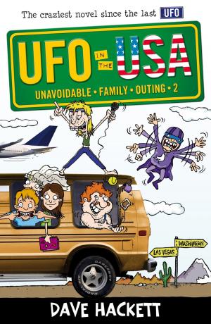 Cover of the book UFO in the USA by Cameron Stelzer
