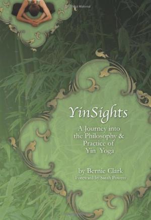 Cover of the book YinSights by Bernie Lubbers