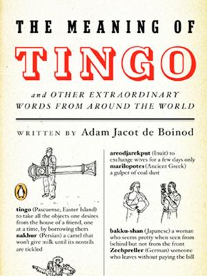 Cover of the book The Meaning of Tingo by Michael Ruhlman