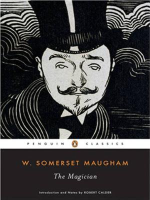 Cover of the book The Magician by Spencer Johnson