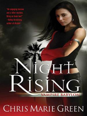 Book cover of Night Rising
