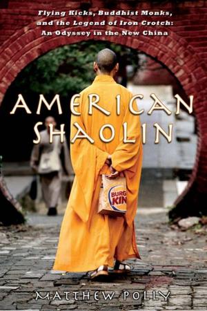 Cover of the book American Shaolin by Michael McGarrity