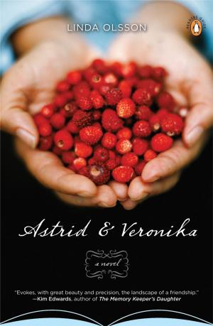 Book cover of Astrid and Veronika