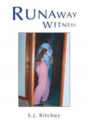 Cover of the book Runaway Witness by Jennifer Balgobin