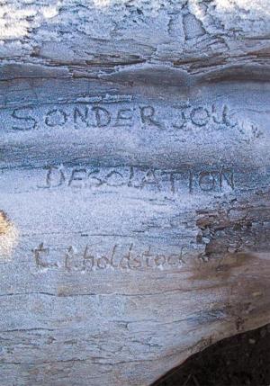 Cover of the book Sonder Jou/Desolation by Stephen M. Serrao