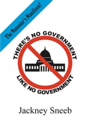 bigCover of the book There's No Government Like No Government by 