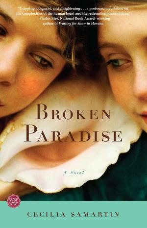 Cover of the book Broken Paradise by Lloyd Boston