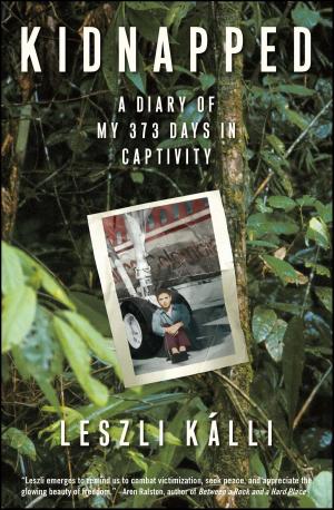 Cover of the book Kidnapped by Posie Graeme-Evans