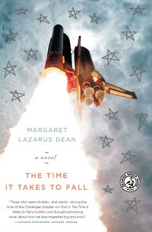 Cover of the book The Time It Takes to Fall by Kai T. Erikson