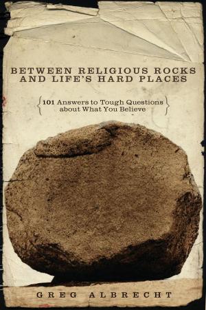 Book cover of Between Religious Rocks and Life's Hard Places