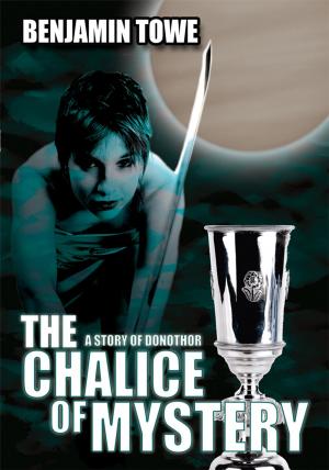 bigCover of the book The Chalice of Mystery by 
