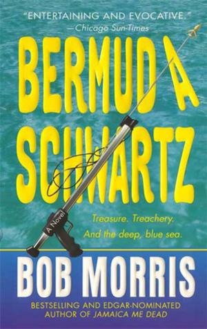 Cover of the book Bermuda Schwartz by Erica Hayes