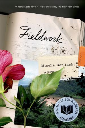 Cover of the book Fieldwork by James Lasdun