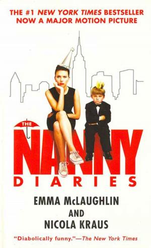 bigCover of the book The Nanny Diaries by 