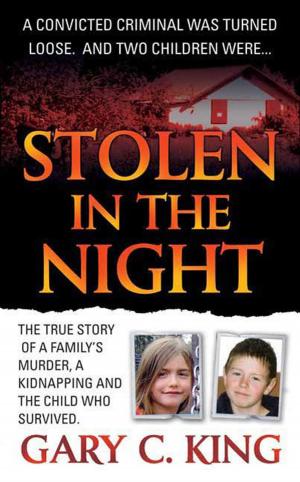 Book cover of Stolen in the Night