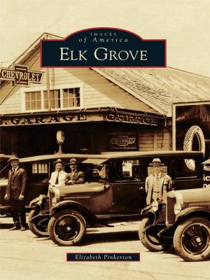 Cover of the book Elk Grove by D.C. Jesse Burkhardt