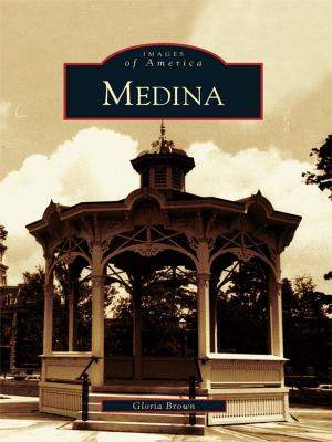 Cover of the book Medina by David J. Puglia