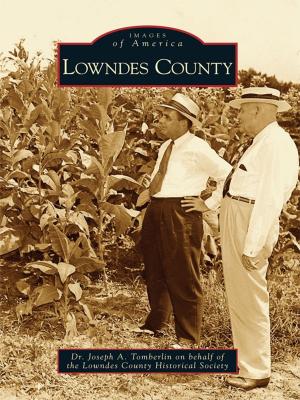 Cover of the book Lowndes County by Darline Bergere