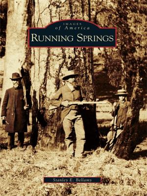 bigCover of the book Running Springs by 