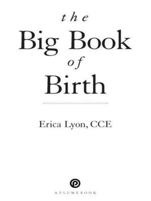 Cover of the book The Big Book of Birth by Nalini Singh