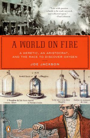 Cover of the book A World on Fire by R. K. Narayan