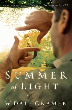 Cover of the book Summer of Light by Edgar USMC Harrell, David Harrell