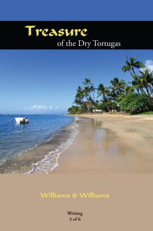 Cover of the book Treasure of the Dry Tortugas by Frank P. Daversa, Joseph V. Franciosa
