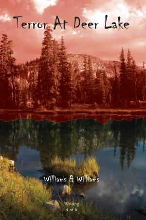 Cover of the book Terror at Deer Lake by Harry Heyoka