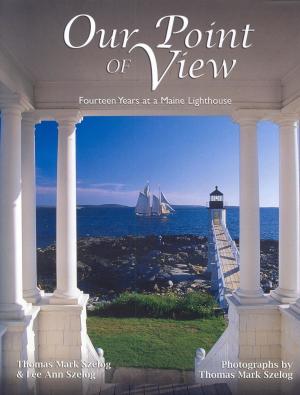 Cover of the book Our Point of View by Liza Gardner Walsh