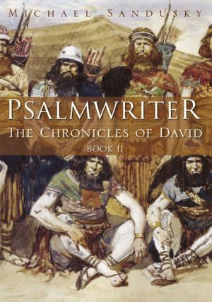 bigCover of the book Psalmwriter: the Chronicles of David Book 2 by 