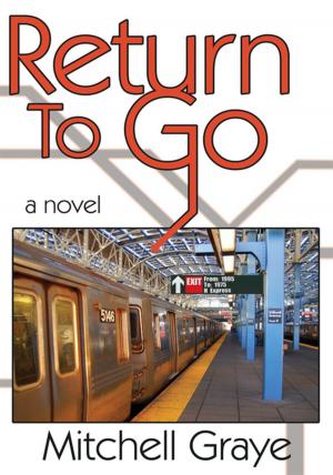 Cover of the book Return to Go by Kai Jokela