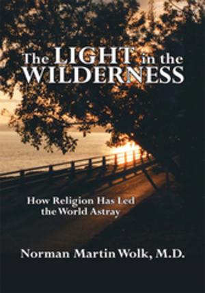 Cover of The Light in the Wilderness