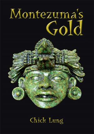 Book cover of Montezuma's Gold