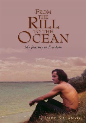 Cover of the book From the Rill to the Ocean by Rabbi Daniel Kohn