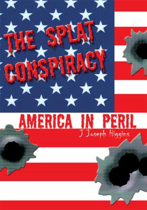 Cover of the book The Splat Conspiracy by Sheldon McCormick
